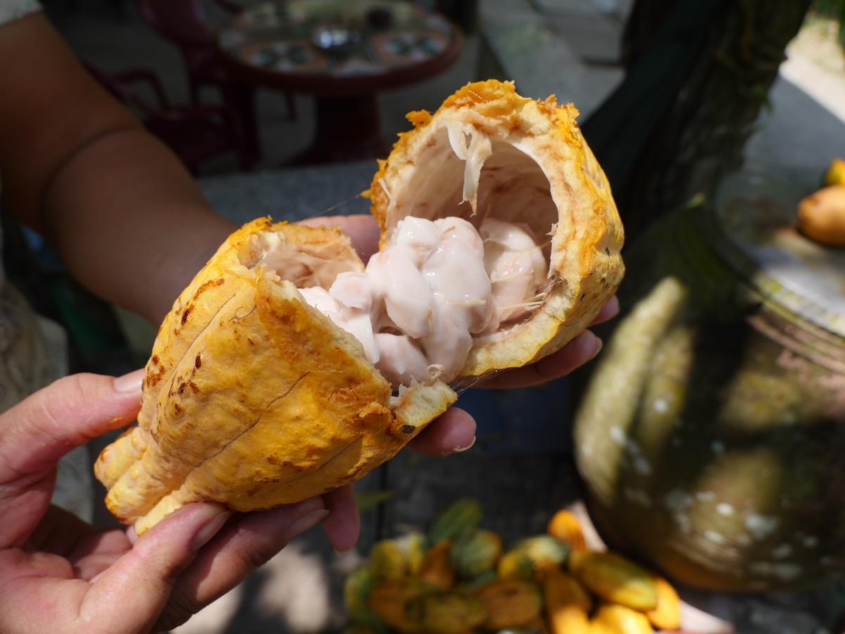 Thanh Ha Guesthouse Can Tho Buitenkant foto